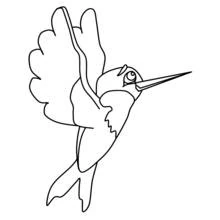 Coloriage Colibri en plein vol avec les ailes déployées