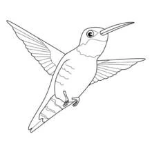Coloriage Colibri en plein vol, ailes déployées