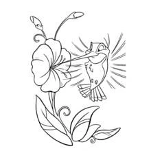 Coloriage Colibri volant vers une grande fleur