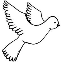 Coloriage Colombe volant les ailes déployées