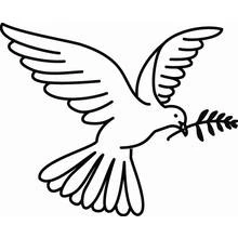 Coloriage Colombe volant avec une branche d'olivier