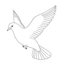 Coloriage Colombe volant les ailes déployées