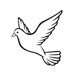 Coloriage Colombe volant les ailes déployées