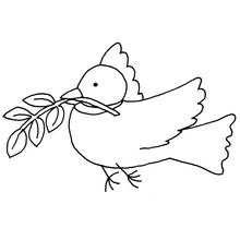 Coloriage Colombe portant une branche d'olivier