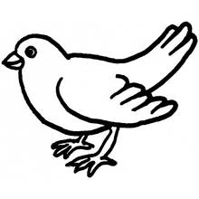 Coloriage Colombe debout aux ailes levées