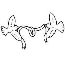 Coloriage Colombe et sa compagne tenant un ruban