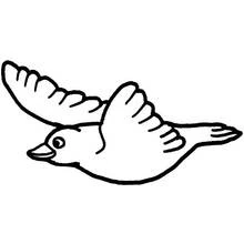 Coloriage Colombe volant les ailes déployées