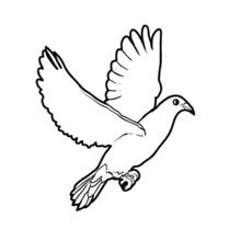 Coloriage Colombe volant les ailes déployées