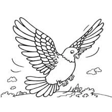 Coloriage Colombe volant au-dessus d'un village