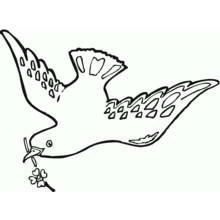 Coloriage Colombe volant avec une petite branche