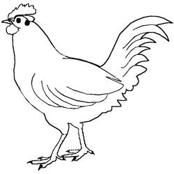 Coloriage Coq debout avec la queue relevée