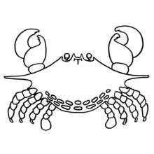 Coloriage Crabe aux grosses pinces vu de dessus