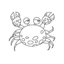 Coloriage Crabe aux grosses pinces et carapace tachetée