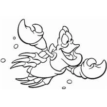 Coloriage Crabe Sébastien nageant avec un grand sourire