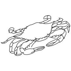 Coloriage Crabe aux pinces grandes ouvertes