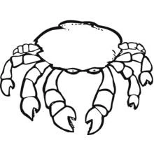 Coloriage Crabe avec grande carapace ronde et pinces