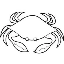 Coloriage Crabe vu de face