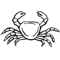 Coloriage Crabe aux pinces levées