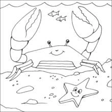 Coloriage Crabe aux grosses pinces sous l'eau