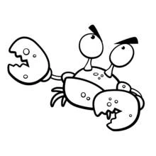 Coloriage Crabe aux grosses pinces ouvertes