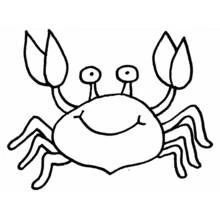 Crabe - Coloriages gratuits à imprimer