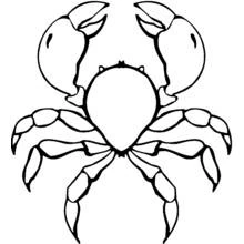 Coloriage Crabe vu de face avec ses grosses pinces