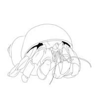 Coloriage Crabe sortant de sa coquille