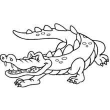 Coloriage Crocodile souriant sur quatre pattes