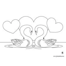 Coloriage Cygne couple formant un cœur