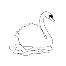 Coloriage Cygne flottant gracieusement sur l'eau