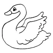 Coloriage Cygne à l'aile déployée
