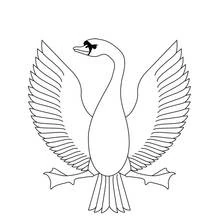 Coloriage Cygne aux ailes déployées