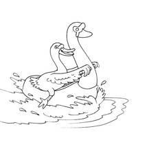 Coloriage Cygne jouant avec un autre sur l'eau