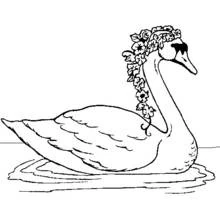 Coloriage Cygne paré d'une guirlande de fleurs sur l'eau