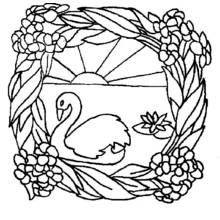 Coloriage Cygne nageant dans un cadre floral