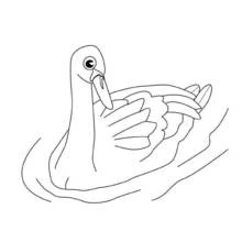 Coloriage Cygne flottant sur l'eau
