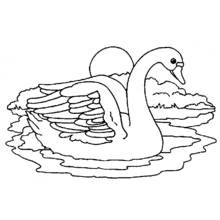 Coloriage Cygne flottant sur un lac au coucher du soleil