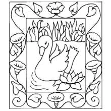 Coloriage Cygne flottant sur un étang avec un cadre floral