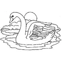 Coloriage Cygne nageant sous la lune