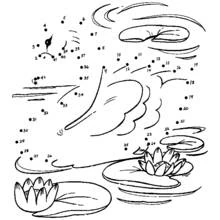 Coloriage Cygne à relier avec des nénuphars