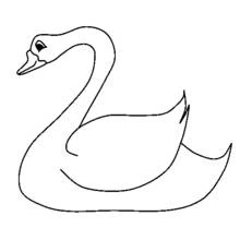 Coloriage Cygne flottant gracieusement sur l'eau