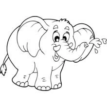 Coloriage Éléphant qui projette de l'eau avec sa trompe