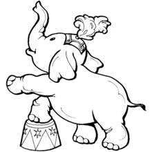 Coloriage Éléphant en équilibre sur un tabouret de cirque