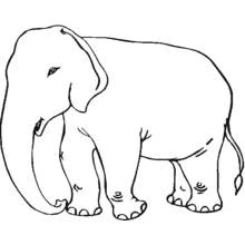 Coloriage Éléphant debout tranquillement