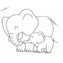 Coloriage Éléphant adulte et son bébé se touchant la trompe