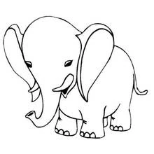 Coloriage Éléphant aux grandes oreilles et à la trompe enroulée