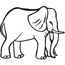 Coloriage Éléphant de profil debout