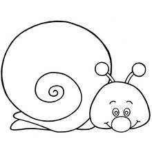 Coloriage Escargot avec une grande coquille en spirale
