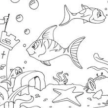 Coloriage Étoile de mer posée sur le fond marin