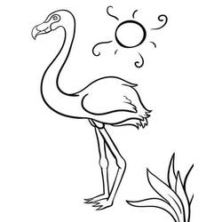 Coloriage Flamant Rose debout sous le soleil
